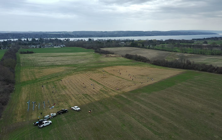 ONeill Preserve Tree Planting 041925 (2).JPG
