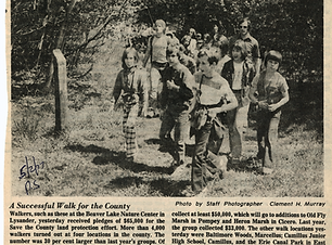 Old Fly Marsh Walk.png