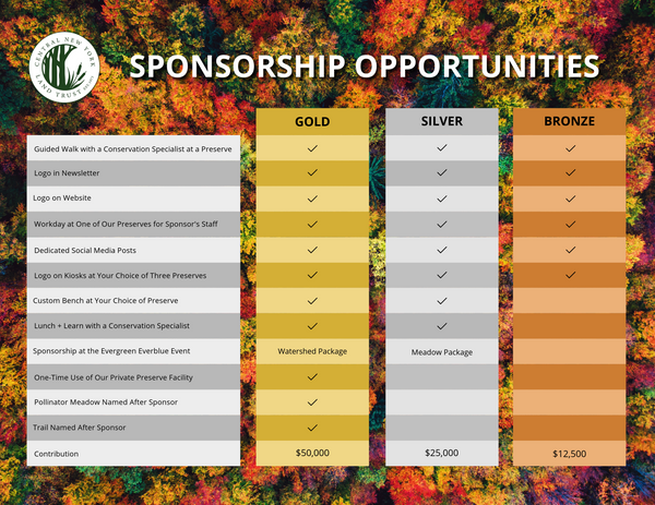 YLCLT Sponsorship Flyer 2024-2-Landscape Sponsorship Levels (1).png