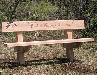 PXL_20230510_175101228.jpg