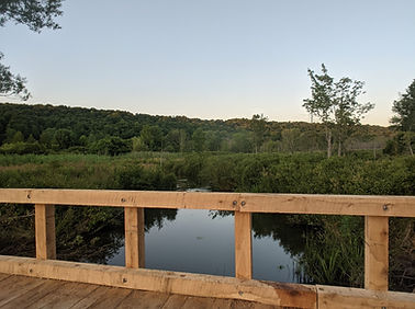image000000(7).jpg