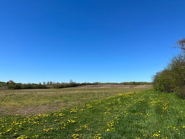 image7.jpeg