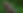 joe pye weed.png