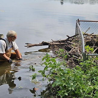 Clearing Beaver Debris from Old Fly Mars