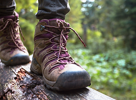 hiking boots.png