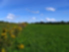 ripley hill 5.JPG