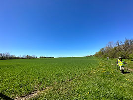 image4.jpeg