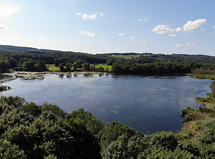lake.png