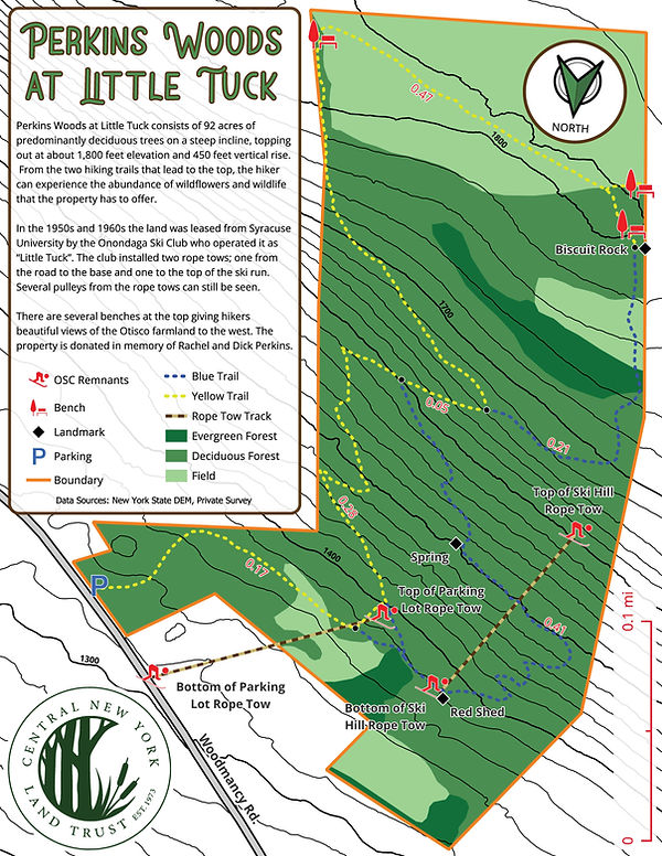 Geo Referenced Trail Map.jpg